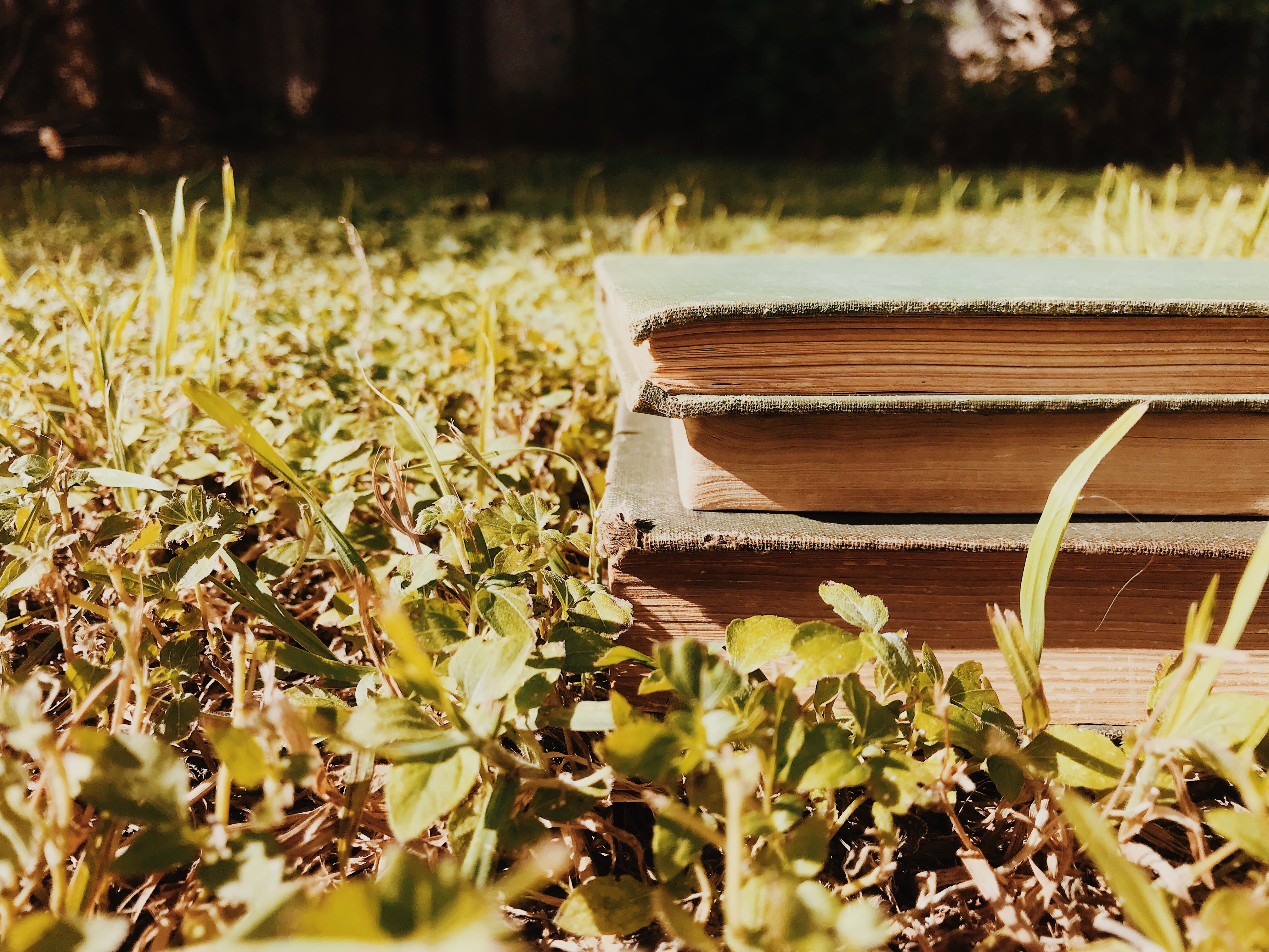 Books at Classically Read